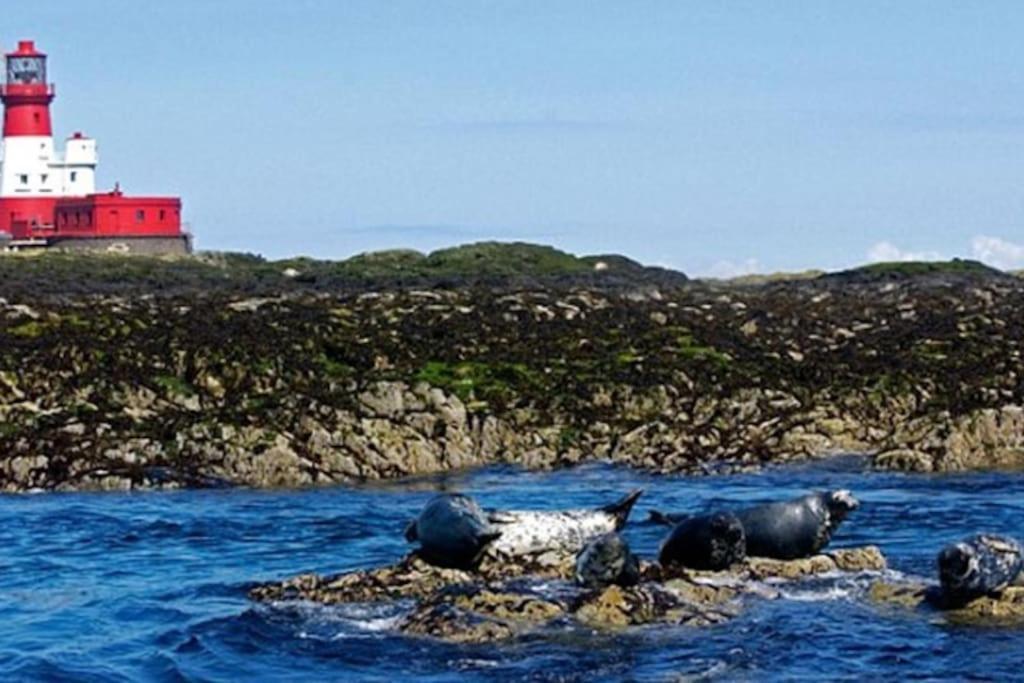 Holiday home Luxurious & Modern On-the-beach Family Retreat Boulmer